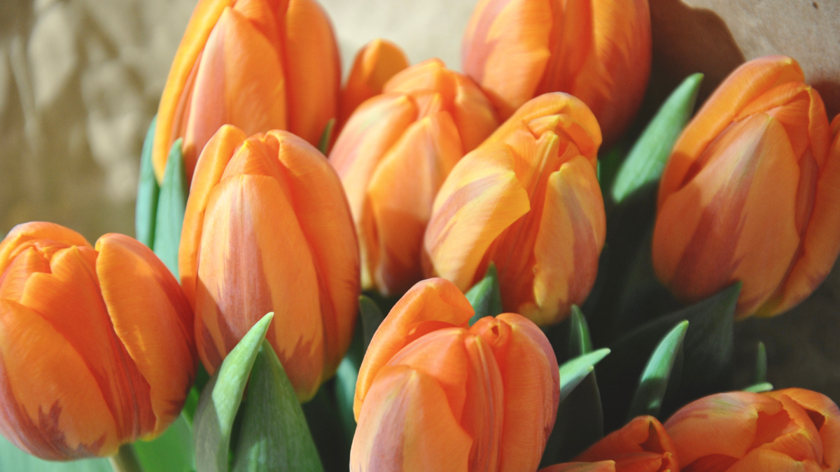 Welcome back Spring we missed you